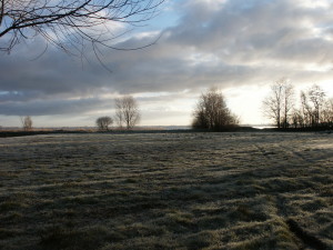 Het uitzicht vanuit bungalowpark Markant op het Slotermeer.