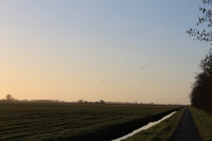 Het weiland naast bungalowpark Markant met ondergaande zon.