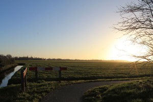 het weiland naast bungalowpark Markant met ondergaande zon.