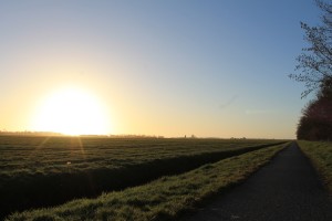Het weiland naast bungalowpark Markant met ondergaande zon.